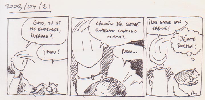 Los gatos son sabios