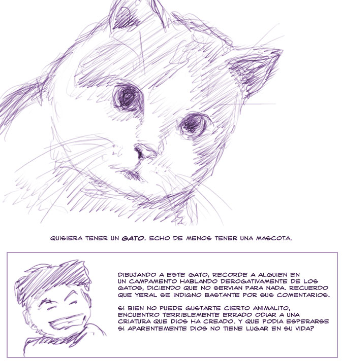 Want a Cat