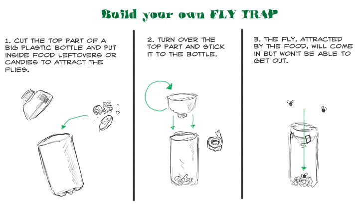 Fly Trap