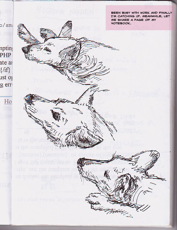 Notebook Sketches