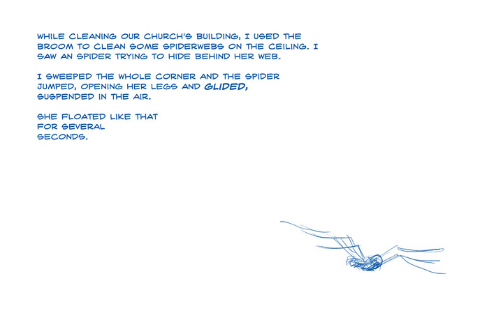 The Floating Spider