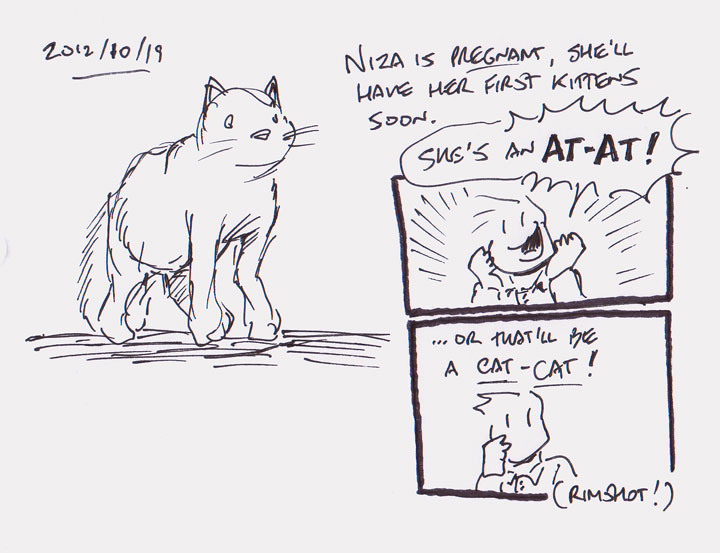 CAT-CAT