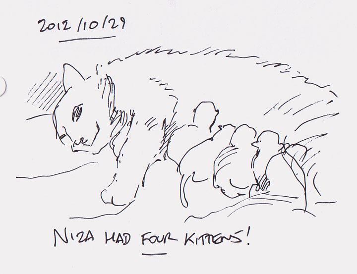 Niza had four kittens!