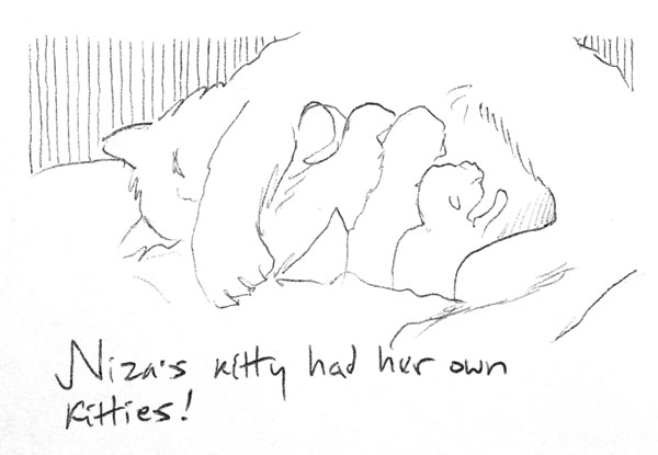 Niza's kitty had new kitties!