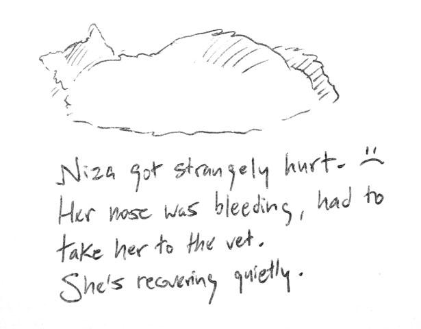 Niza got strangely hurt