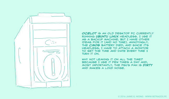 Meet Ocelot, my Ubuntu Linux server